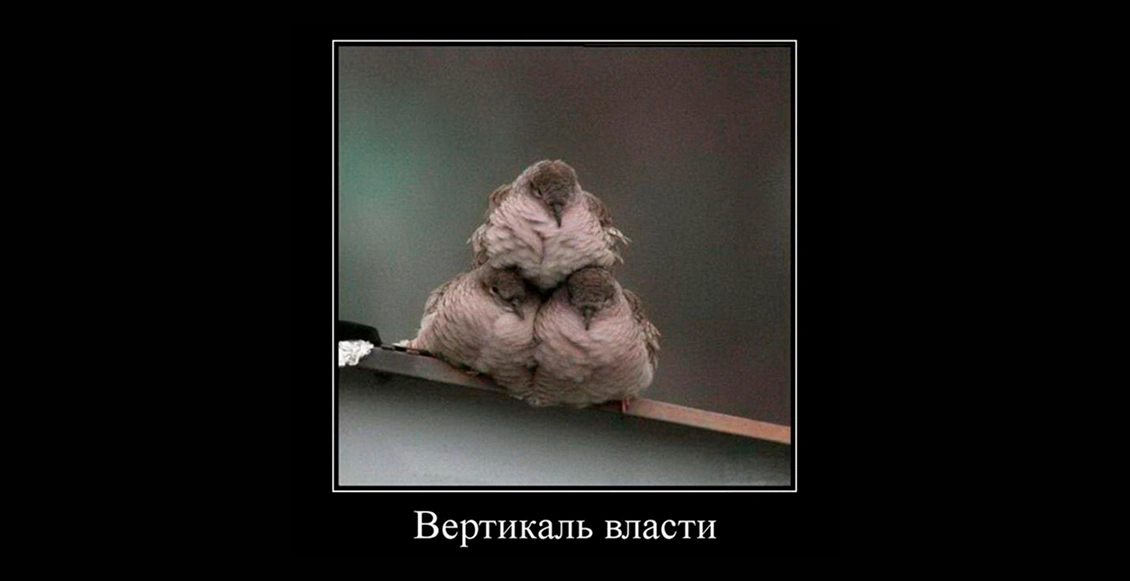 м30лис 7.webp м30лис 7.webp