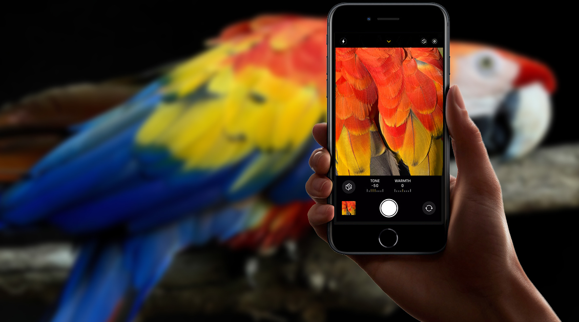 Смартфон Apple iPhone SE 2022 64 ГБ красный (1sim + eSim) Смартфон Apple iPhone SE 2022 64 ГБ красный (1sim + eSim) - 2