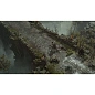 Игра для Xbox Diablo IV (оформление на учётную запись) - 5