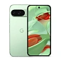 Смартфон Google Pixel 9 12/256 ГБ зелёный (1sim + eSim)