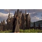 Игра для Xbox Hogwarts Legacy (оформление на учётную запись) - 7
